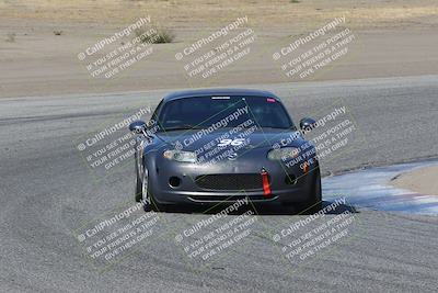 media/Nov-04-2023-CalClub SCCA (Sat) [[cb7353a443]]/Group 2/Cotton Corners (Race)/